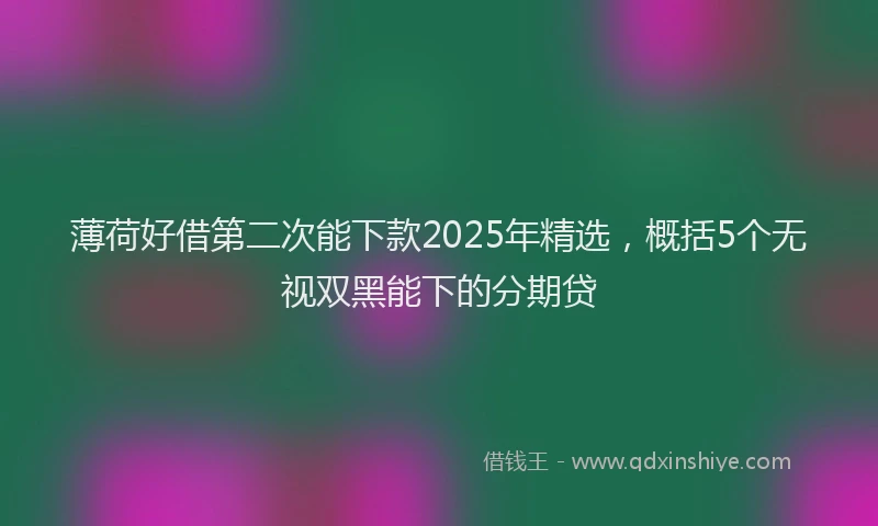 薄荷好借第二次能下款2025年精选，概括5个无视双黑能下的分期贷