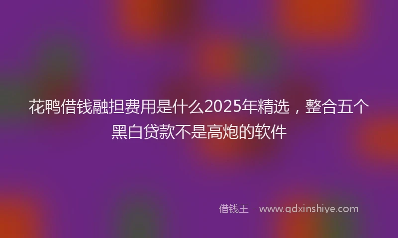 花鸭借钱融担费用是什么2025年精选，整合五个黑白贷款不是高炮的软件