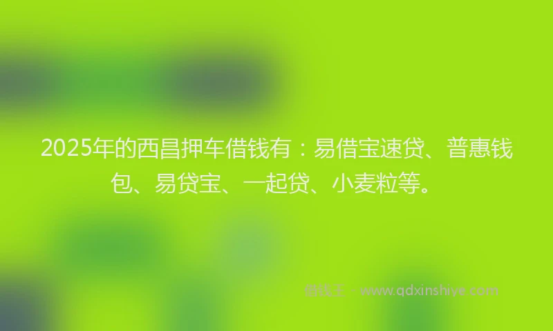 2025年的西昌押车借钱有：易借宝速贷、普惠钱包、易贷宝、一起贷、小麦粒等。