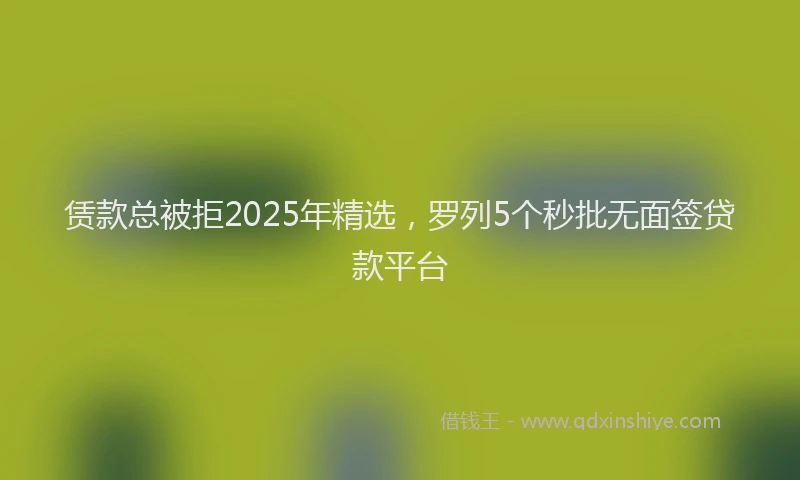 赁款总被拒2025年精选，罗列5个秒批无面签贷款平台