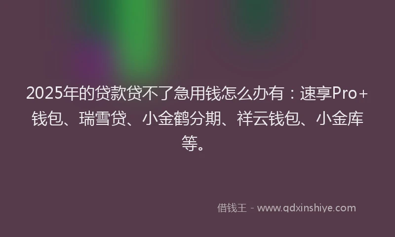 2025年的贷款贷不了急用钱怎么办有：速享Pro+钱包、瑞雪贷、小金鹤分期、祥云钱包、小金库等。