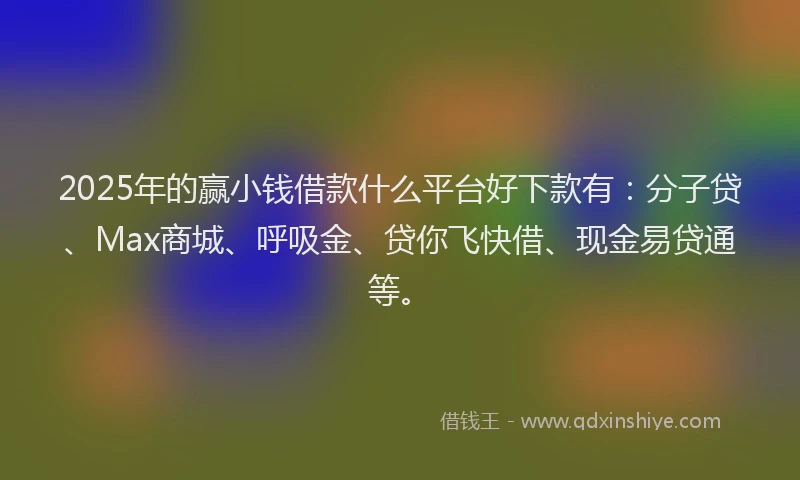 2025年的赢小钱借款什么平台好下款有：分子贷、Max商城、呼吸金、贷你飞快借、现金易贷通等。