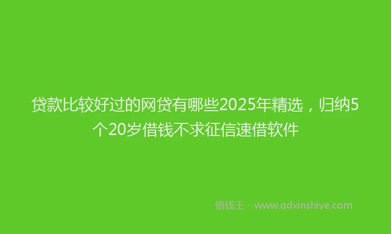 贷款比较好过的网贷有哪些2025年精选，归纳5个20岁借钱不求征信速借软件