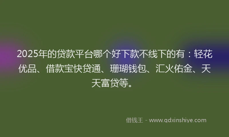2025年的贷款平台哪个好下款不线下的有：轻花优品、借款宝快贷通、珊瑚钱包、汇火佑金、天天富贷等。