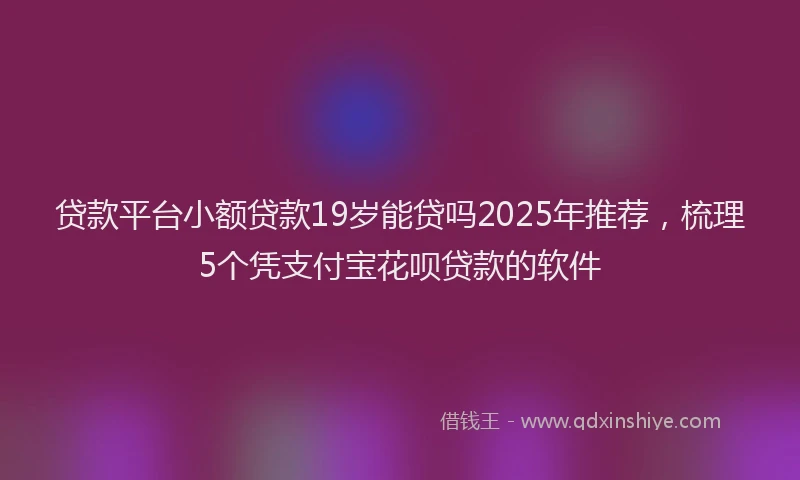 贷款平台小额贷款19岁能贷吗2025年推荐，梳理5个凭支付宝花呗贷款的软件