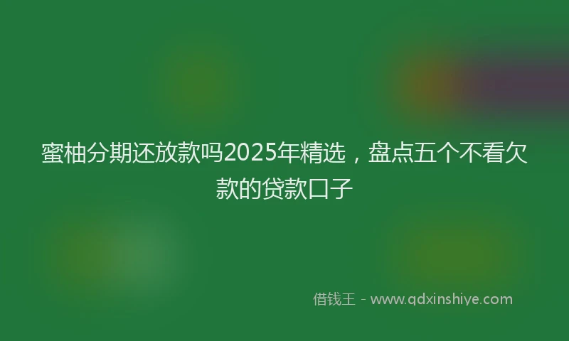 蜜柚分期还放款吗2025年精选，盘点五个不看欠款的贷款口子