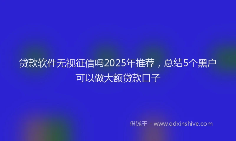 贷款软件无视征信吗2025年推荐，总结5个黑户可以做大额贷款口子