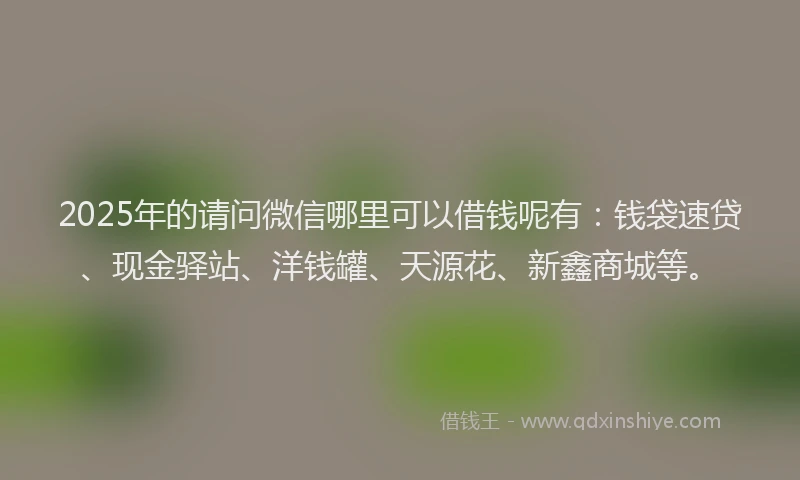 2025年的请问微信哪里可以借钱呢有：钱袋速贷、现金驿站、洋钱罐、天源花、新鑫商城等。