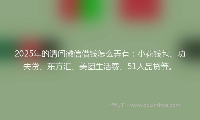 2025年的请问微信借钱怎么弄有：小花钱包、功夫贷、东方汇、美团生活费、51人品贷等。