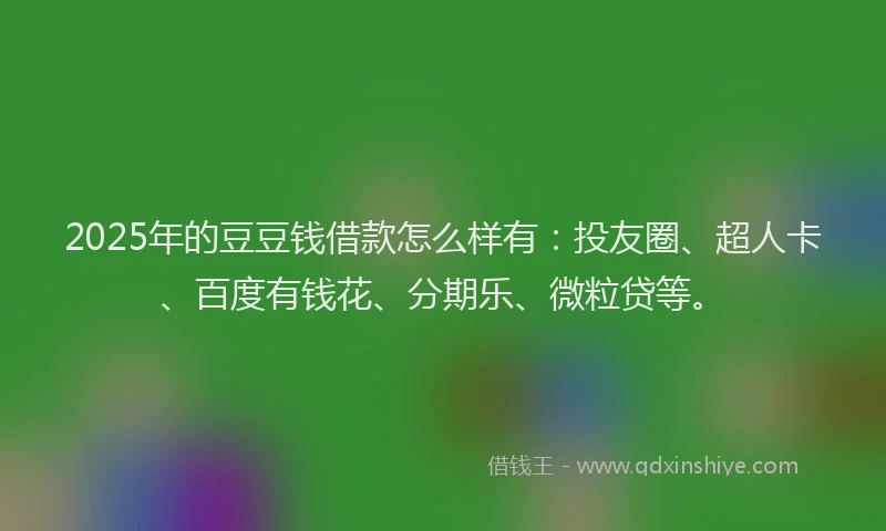 2025年的豆豆钱借款怎么样有：投友圈、超人卡、百度有钱花、分期乐、微粒贷等。