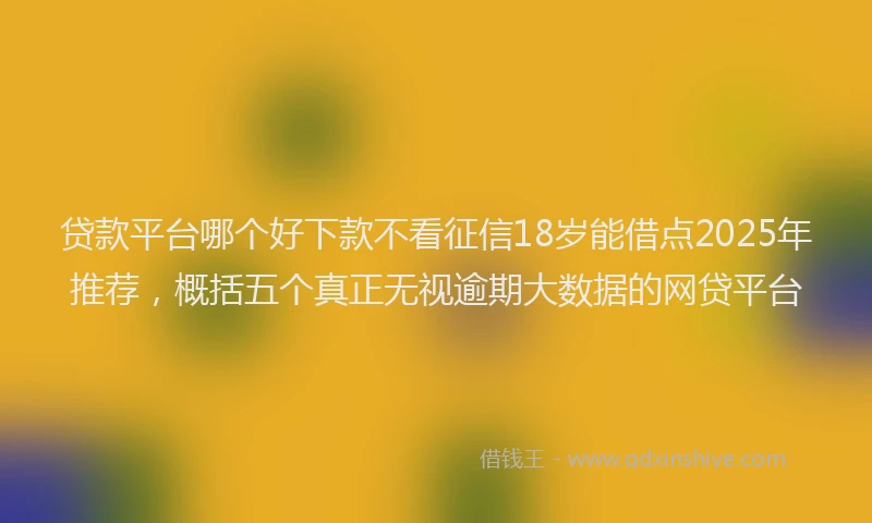 贷款平台哪个好下款不看征信18岁能借点2025年推荐，概括五个真正无视逾期大数据的网贷平台