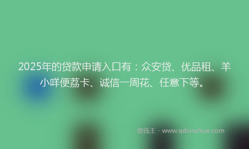 2025年的贷款申请入口有：众安贷、优品租、羊小咩便荔卡、诚信一周花、任意下等。