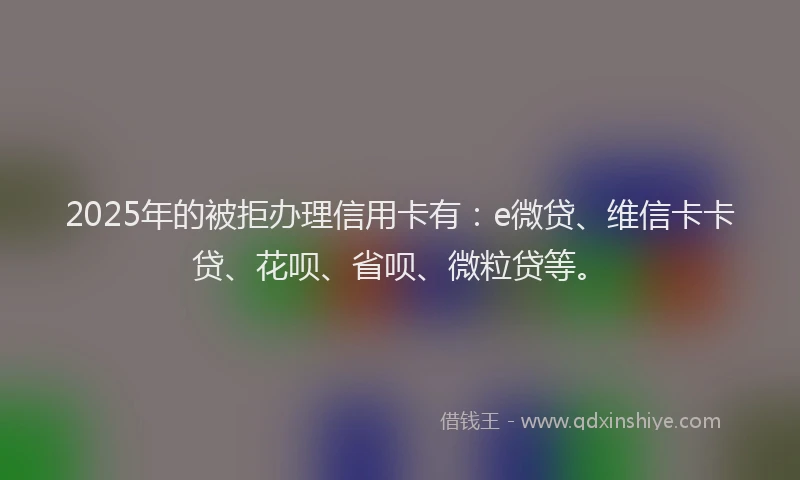 2025年的被拒办理信用卡有：e微贷、维信卡卡贷、花呗、省呗、微粒贷等。