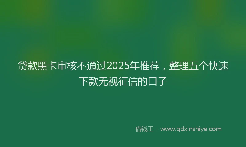 贷款黑卡审核不通过2025年推荐，整理五个快速下款无视征信的口子