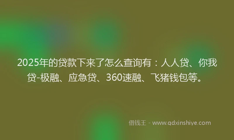 2025年的贷款下来了怎么查询有：人人贷、你我贷-极融、应急贷、360速融、飞猪钱包等。