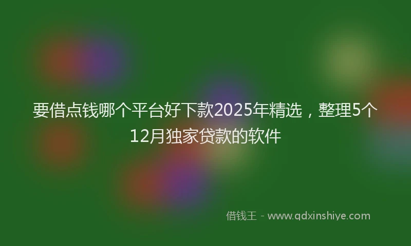 要借点钱哪个平台好下款2025年精选，整理5个12月独家贷款的软件