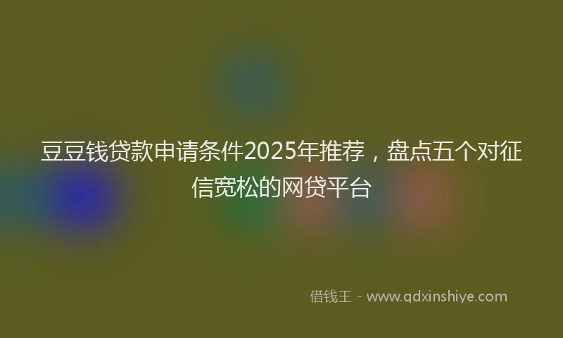 豆豆钱贷款申请条件2025年推荐，盘点五个对征信宽松的网贷平台