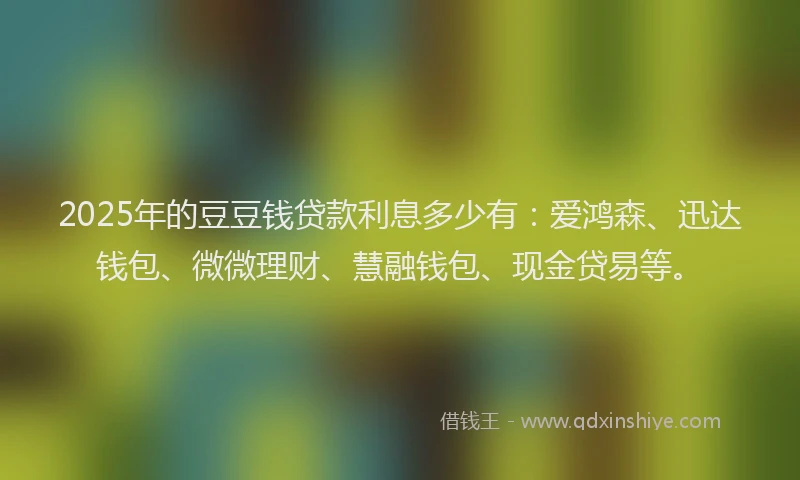 2025年的豆豆钱贷款利息多少有：爱鸿森、迅达钱包、微微理财、慧融钱包、现金贷易等。