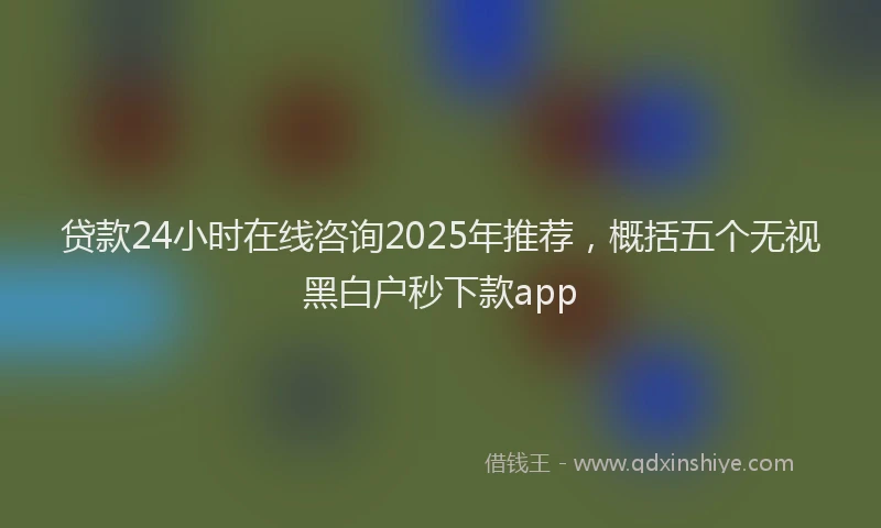 贷款24小时在线咨询2025年推荐，概括五个无视黑白户秒下款app