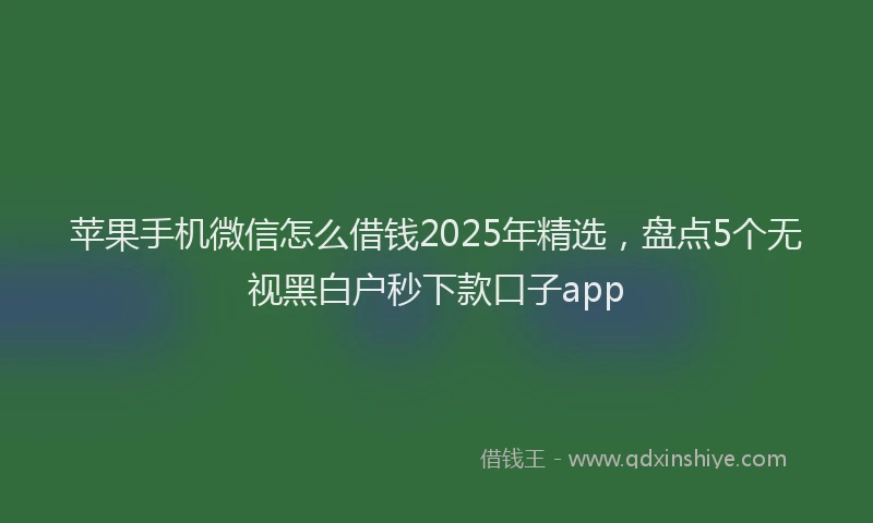 苹果手机微信怎么借钱2025年精选，盘点5个无视黑白户秒下款口子app