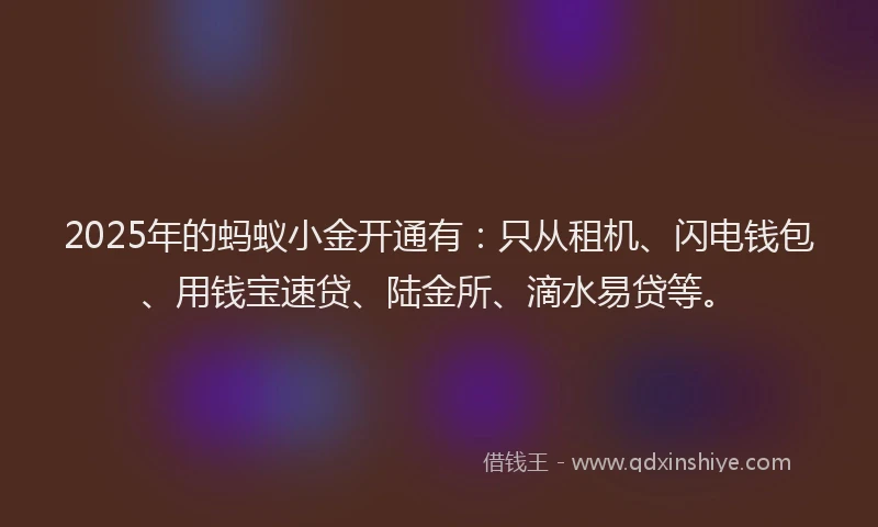 2025年的蚂蚁小金开通有：只从租机、闪电钱包、用钱宝速贷、陆金所、滴水易贷等。