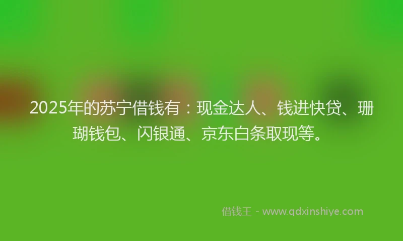 2025年的苏宁借钱有：现金达人、钱进快贷、珊瑚钱包、闪银通、京东白条取现等。