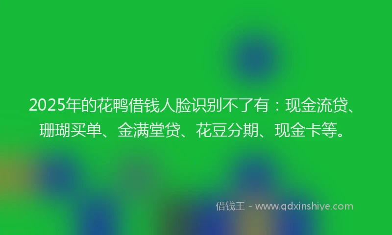 2025年的花鸭借钱人脸识别不了有：现金流贷、珊瑚买单、金满堂贷、花豆分期、现金卡等。