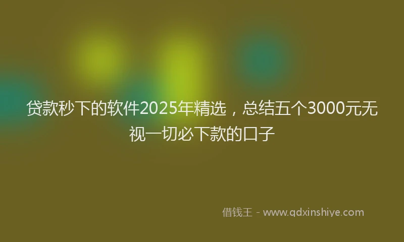 贷款秒下的软件2025年精选，总结五个3000元无视一切必下款的口子