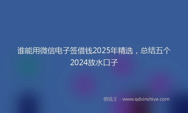 谁能用微信电子签借钱2025年精选，总结五个2024放水口子