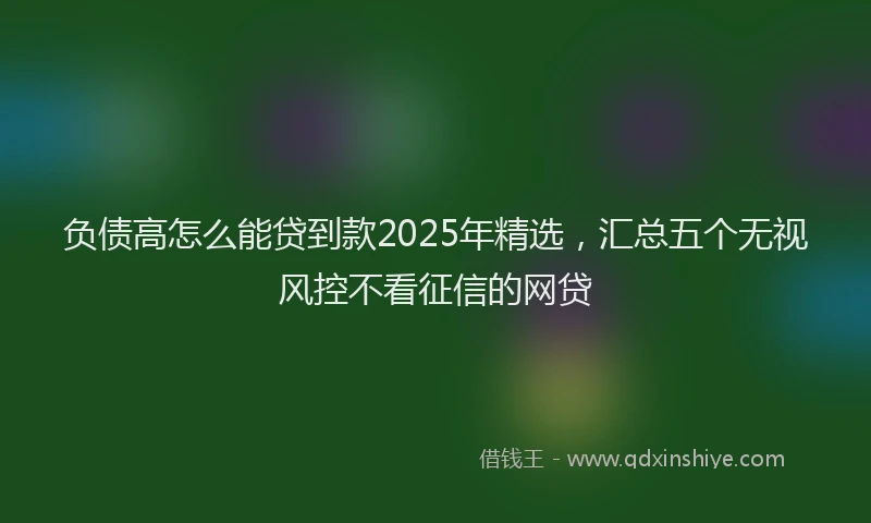 负债高怎么能贷到款2025年精选，汇总五个无视风控不看征信的网贷