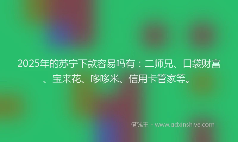 2025年的苏宁下款容易吗有：二师兄、口袋财富、宝来花、哆哆米、信用卡管家等。