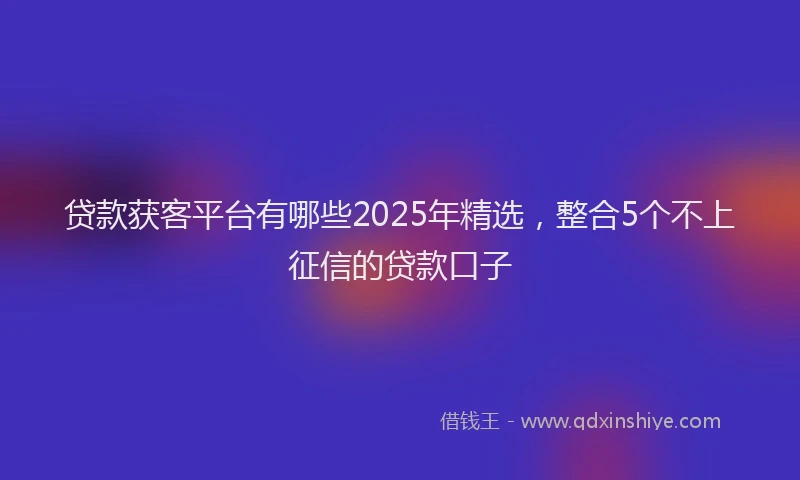 贷款获客平台有哪些2025年精选，整合5个不上征信的贷款口子