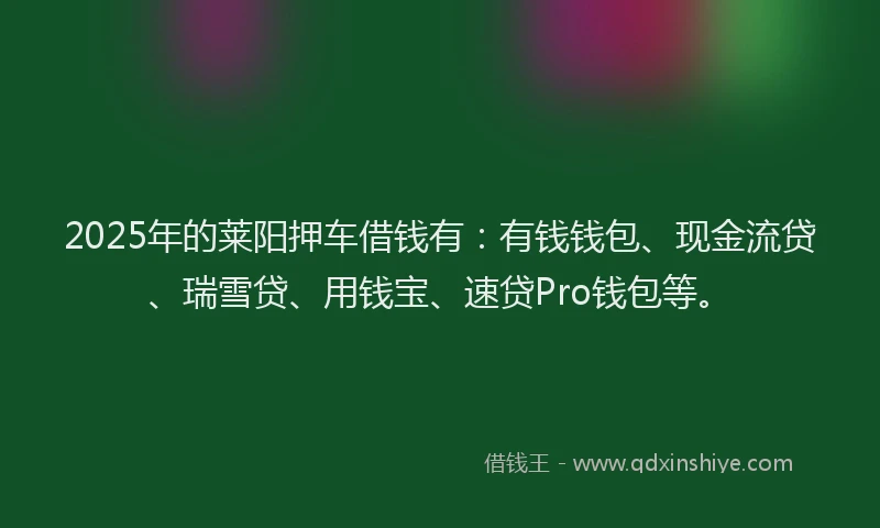 2025年的莱阳押车借钱有：有钱钱包、现金流贷、瑞雪贷、用钱宝、速贷Pro钱包等。
