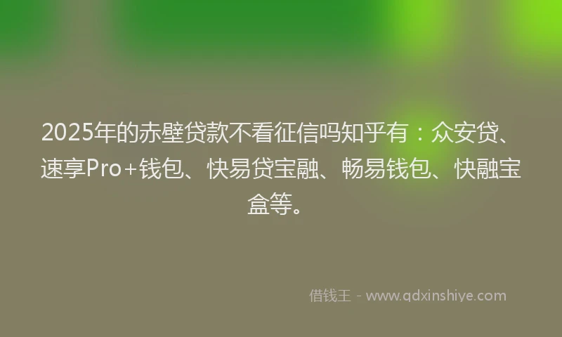 2025年的赤壁贷款不看征信吗知乎有：众安贷、速享Pro+钱包、快易贷宝融、畅易钱包、快融宝盒等。