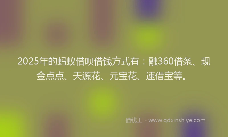 2025年的蚂蚁借呗借钱方式有：融360借条、现金点点、天源花、元宝花、速借宝等。
