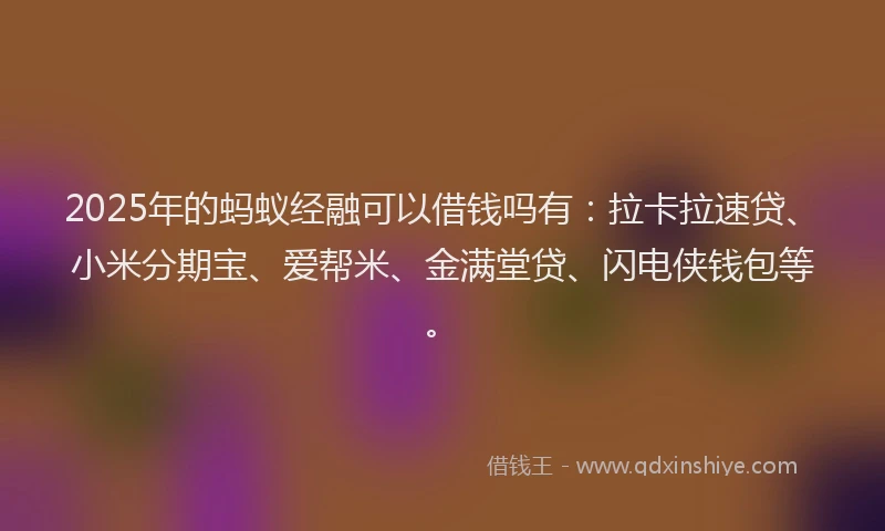 2025年的蚂蚁经融可以借钱吗有：拉卡拉速贷、小米分期宝、爱帮米、金满堂贷、闪电侠钱包等。