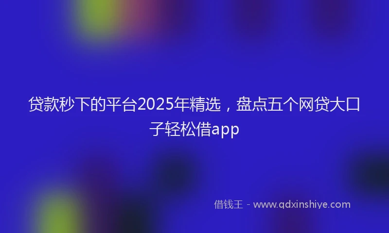 贷款秒下的平台2025年精选，盘点五个网贷大口子轻松借app