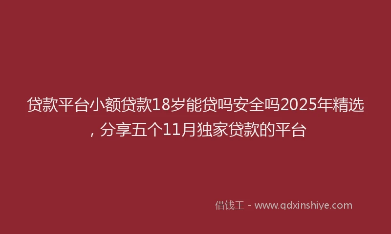 贷款平台小额贷款18岁能贷吗安全吗2025年精选，分享五个11月独家贷款的平台