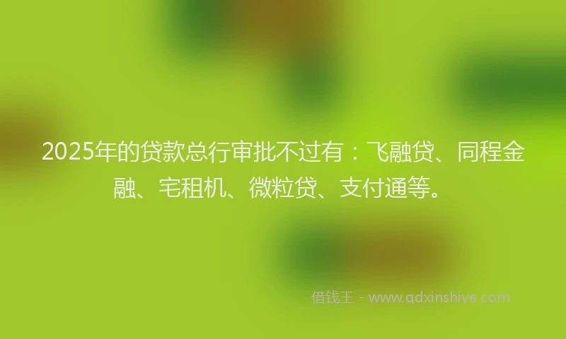 2025年的贷款总行审批不过有：飞融贷、同程金融、宅租机、微粒贷、支付通等。