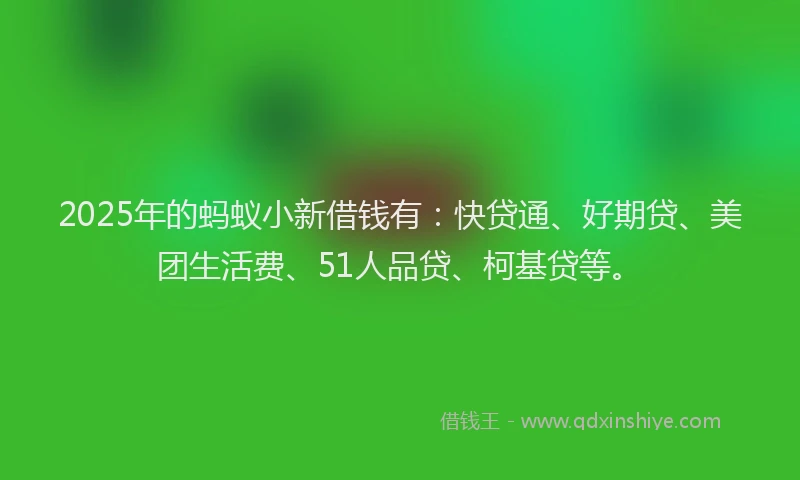 2025年的蚂蚁小新借钱有：快贷通、好期贷、美团生活费、51人品贷、柯基贷等。
