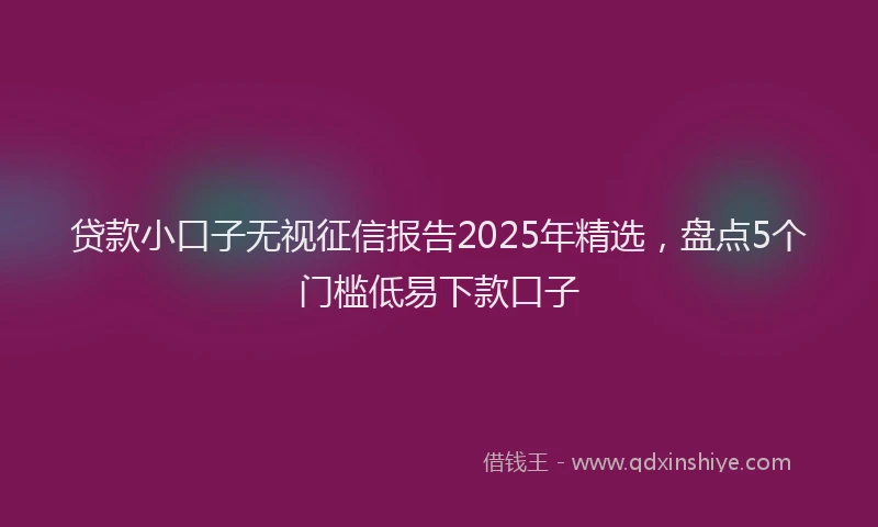 贷款小口子无视征信报告2025年精选，盘点5个门槛低易下款口子