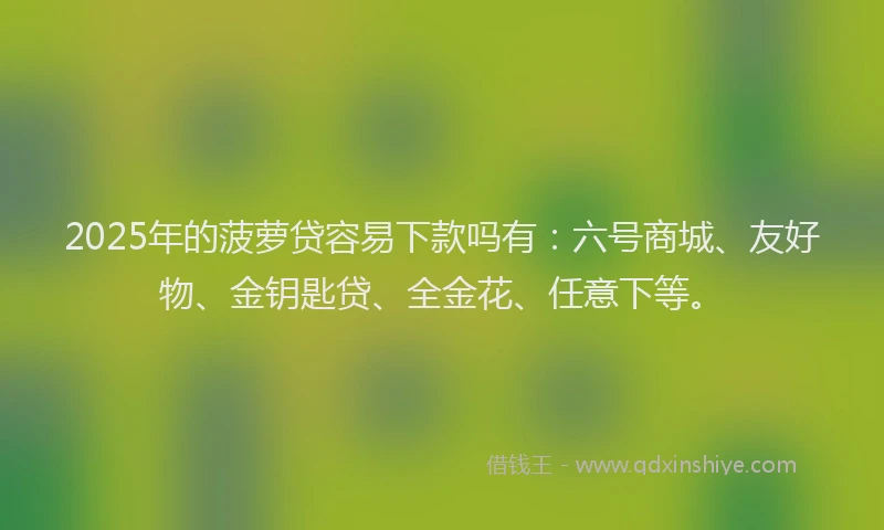 2025年的菠萝贷容易下款吗有：六号商城、友好物、金钥匙贷、全金花、任意下等。