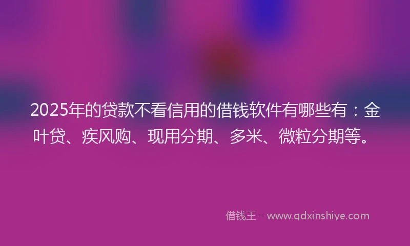 2025年的贷款不看信用的借钱软件有哪些有：金叶贷、疾风购、现用分期、多米、微粒分期等。