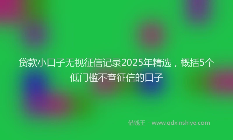 贷款小口子无视征信记录2025年精选，概括5个低门槛不查征信的口子