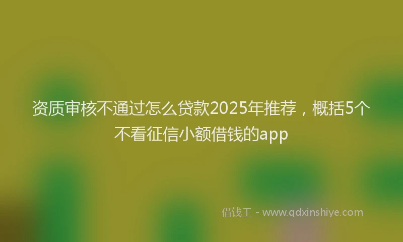 资质审核不通过怎么贷款2025年推荐，概括5个不看征信小额借钱的app