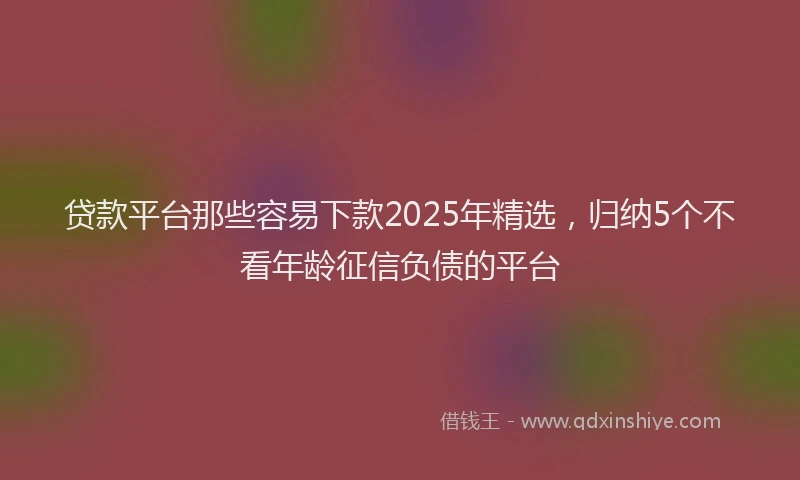 贷款平台那些容易下款2025年精选，归纳5个不看年龄征信负债的平台
