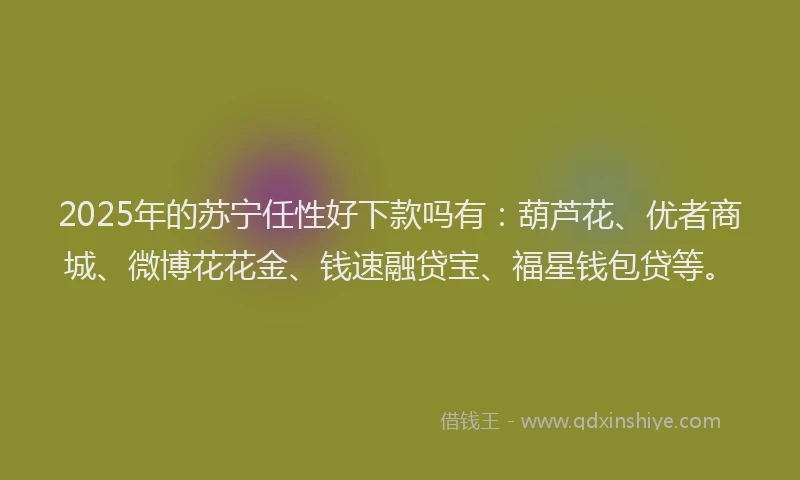 2025年的苏宁任性好下款吗有：葫芦花、优者商城、微博花花金、钱速融贷宝、福星钱包贷等。