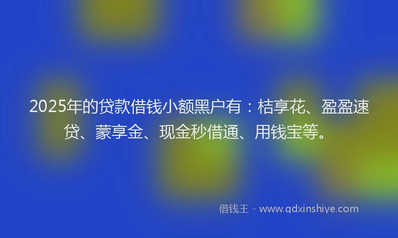 2025年的贷款借钱小额黑户有：桔享花、盈盈速贷、蒙享金、现金秒借通、用钱宝等。