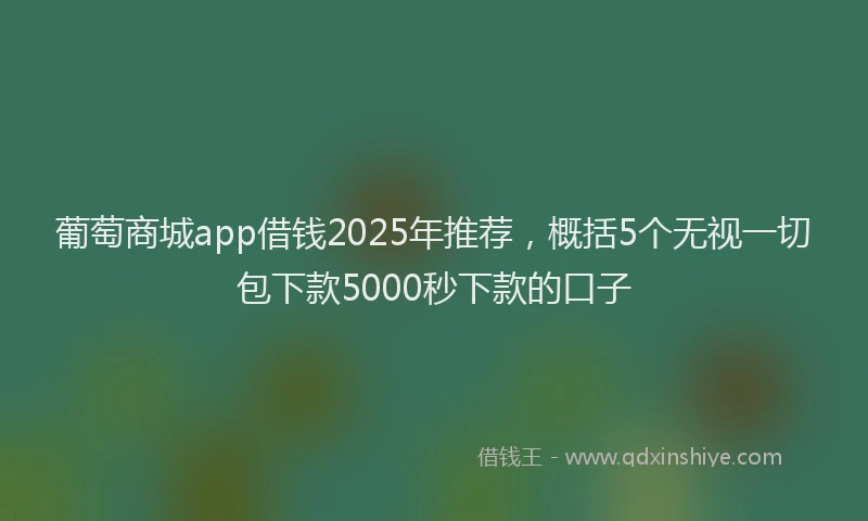 葡萄商城app借钱2025年推荐，概括5个无视一切包下款5000秒下款的口子