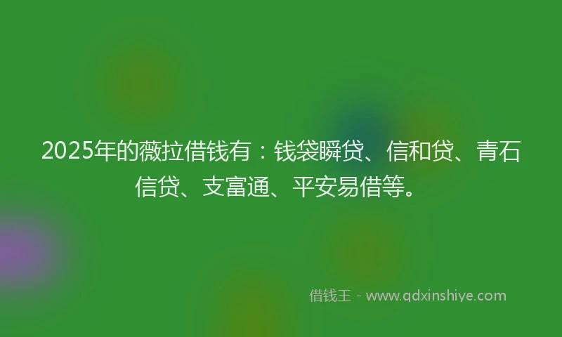 2025年的薇拉借钱有：钱袋瞬贷、信和贷、青石信贷、支富通、平安易借等。
